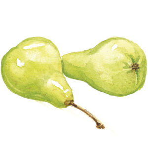 Peras