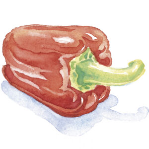 Pimiento rojo